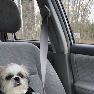 Meet your Posher, Joe